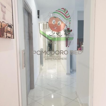 Bed and Breakfast Pomodoro Bed Castrovillari Exterior foto